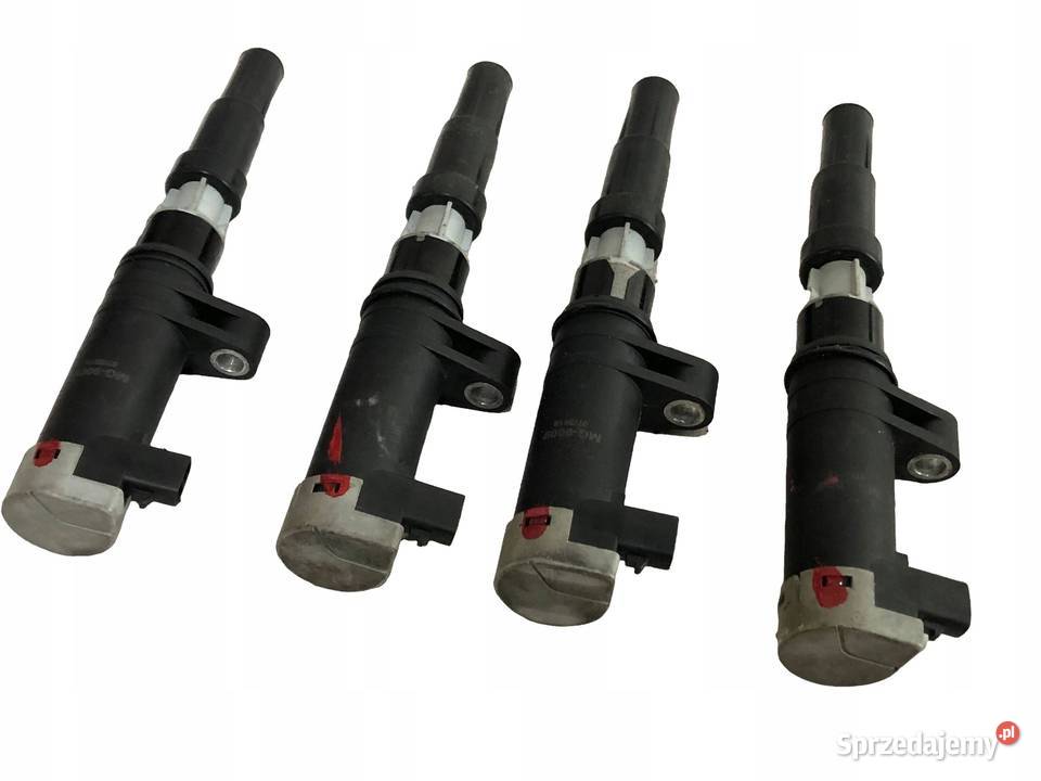 Renault Grand Scenic II 05r 20 16v 135 4x Cewka świętokrzyskie Skarżysko-Kamienna