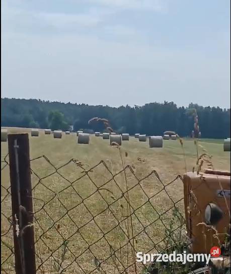 Siano pierwszy zbiór Koni Strzałki