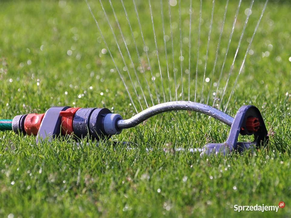 Trawnik z rolki z transportem cała Polska