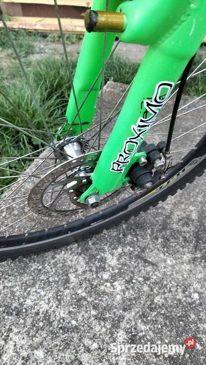 Rower Proximo FS204 koło 24 gotowy do jazdy Chocianów