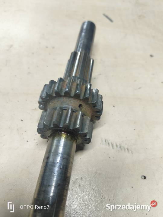 Wałek główny WSK 175 Łubno