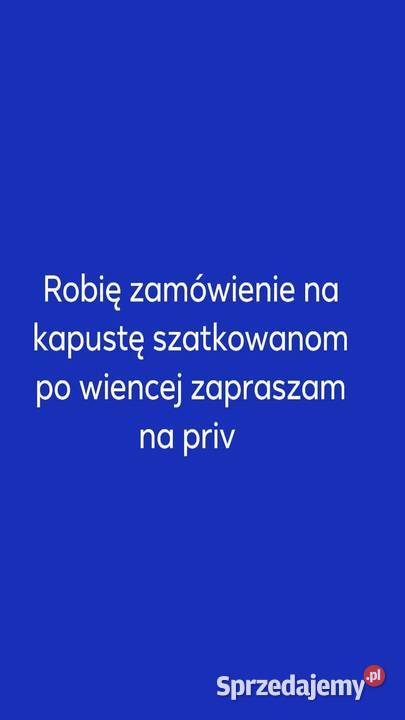 SPRZEDAM KAPUSTA SZATKOWANA SZATKA KAPUSTA