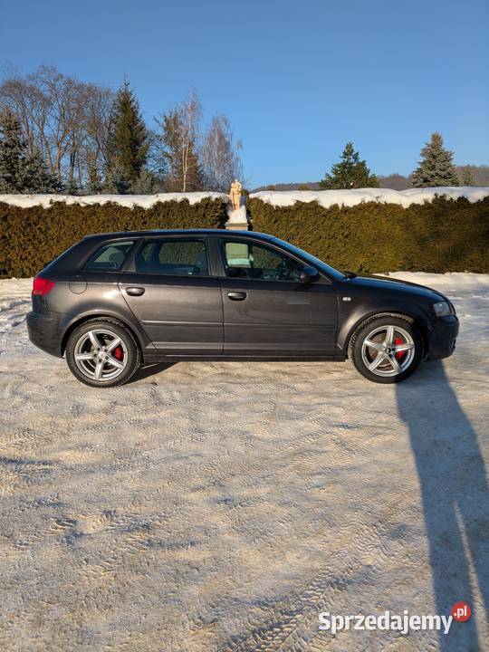 Audi A3 8P A3 podkarpackie Posada Jaćmierska