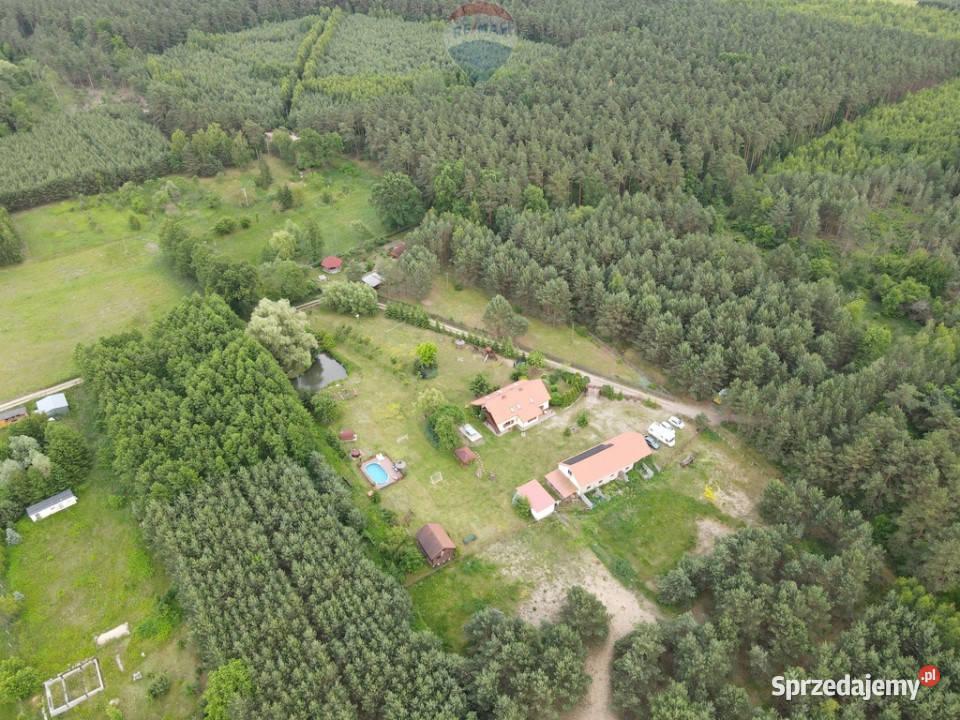 Ranczo w lesie z wyspą stawem basenem stajnią wolnostojący kujawsko-pomorskie Gnojno