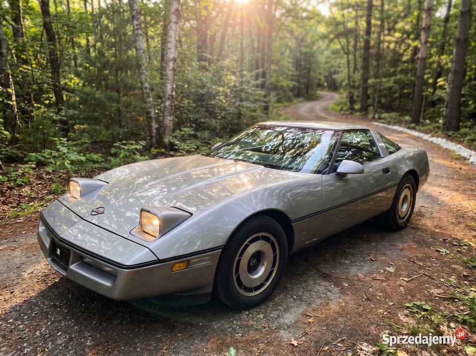 Chevrolet Corvette C4 1984 57 V8 Trzebownisko