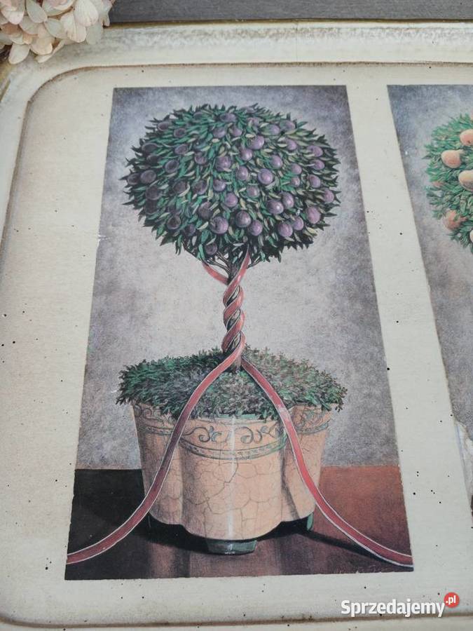 Dekoracja drewniana taca motyw botaniczny 40x30 Warszawa