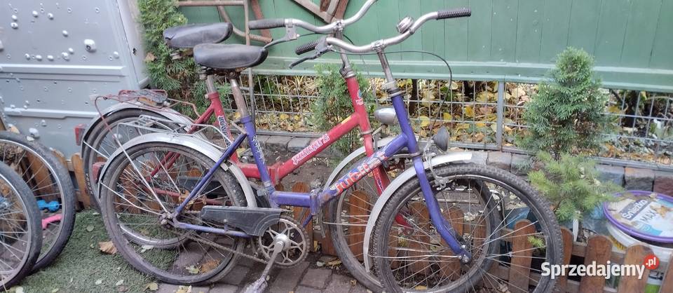 Jubilaty 4 sztuki całosc