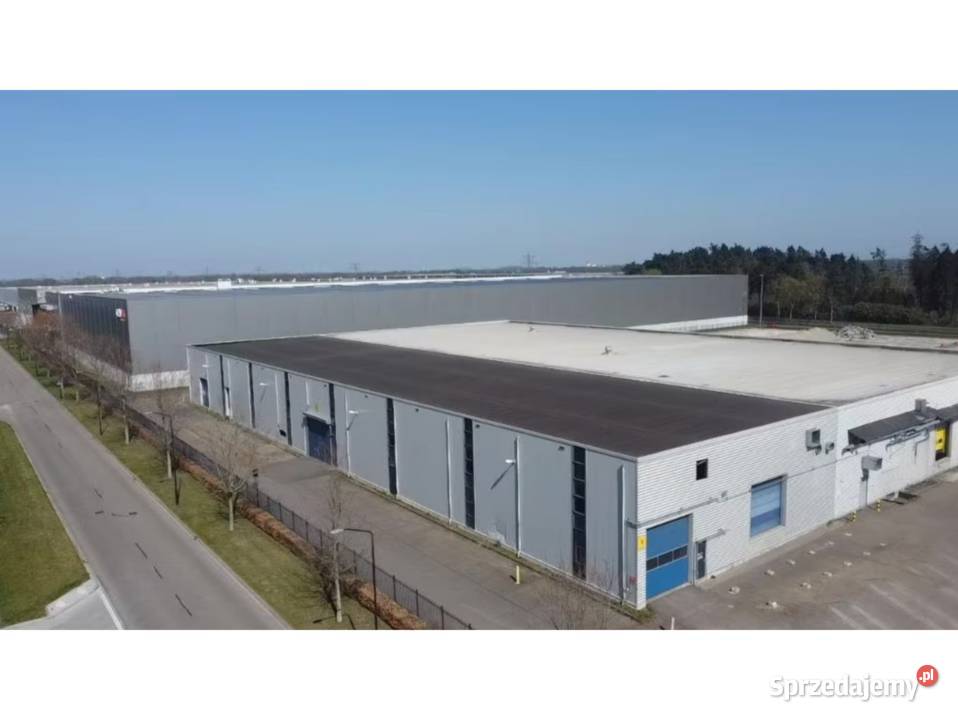 Konstrukcja stalowa dach 20x30 Hale i magazyny