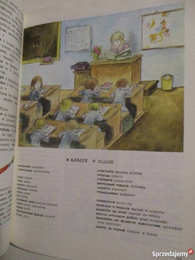 Ilustrowany słownik dzieci Brzechwa Janczarski