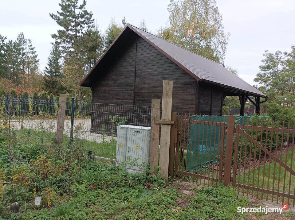 poliwęglan lity komorowy trapezowy tanio Niedźwiedź