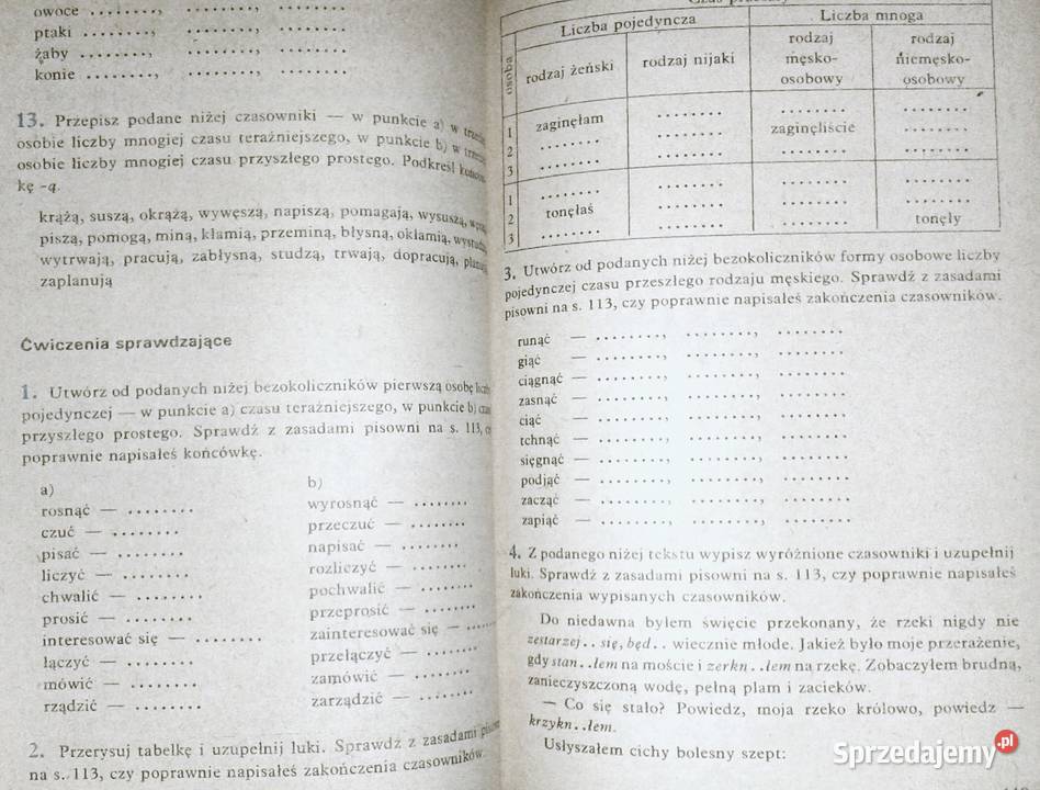 Nauka ortografii i interpunkcji uczniów kl 46 Rok wydania 1987 Chełm sprzedam