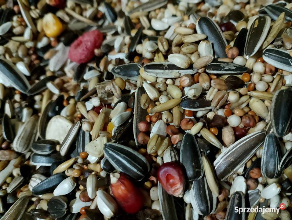 Karma papug kanarków gryzoni Strzeleczki