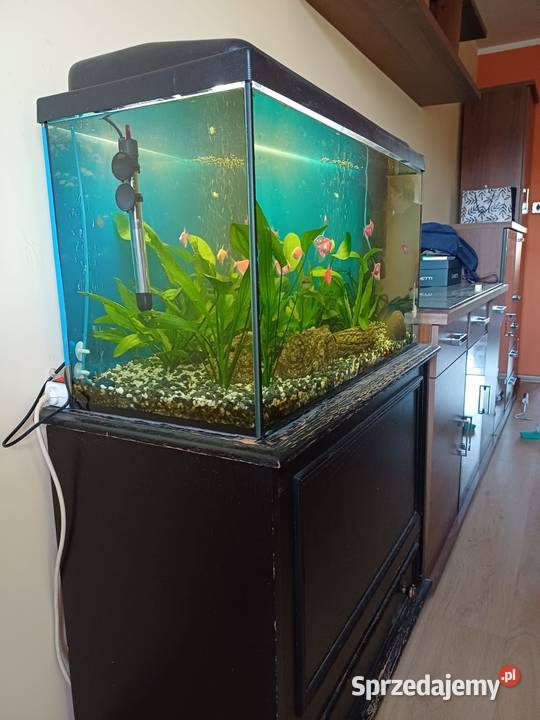 Akwarium 126L z komodą i rybkami plus akcesoria Pozostałe Jaworzno