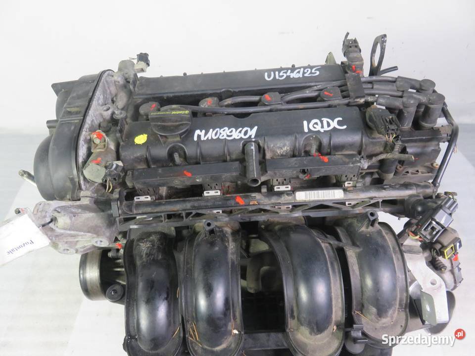 SILNIK FORD FOCUS MK3 III 16 Ti VCT 105 IQDC