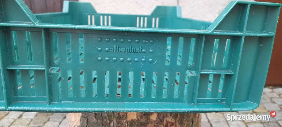 Skrzynki plastikowe na owoce i warzywa Boguszów-Gorce