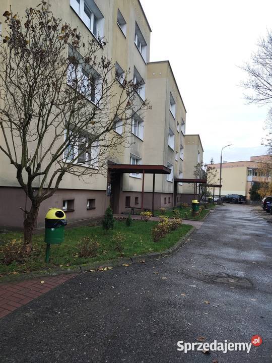 Mieszkanie Legionowo 53m2 z ogródkiem i piwnicą sprzedam