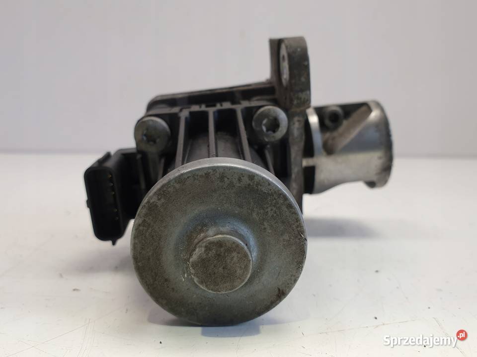 Renault Kangoo III 15 DCI ZAWÓR EGR 8200129863 Rudka