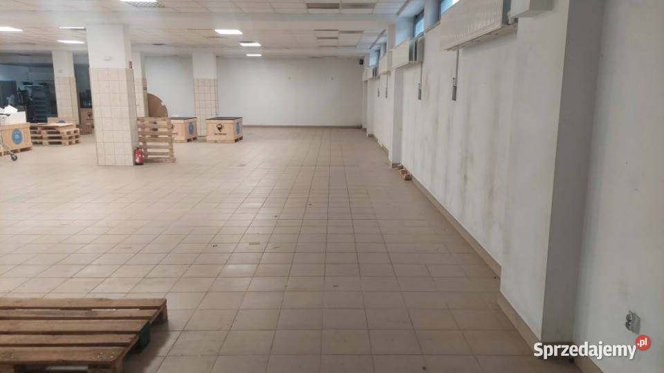 Lokal na Wynajem Wrocław dolnośląskie