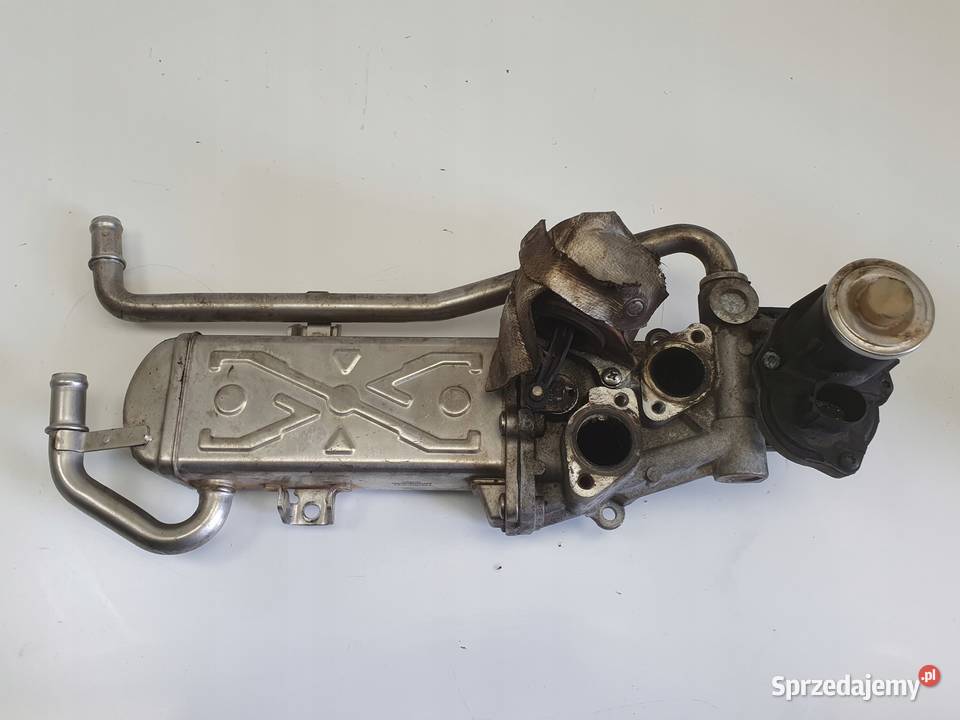 VW Caddy III 16 TDI CHŁODNICA SPALIN zawór egr Chełm