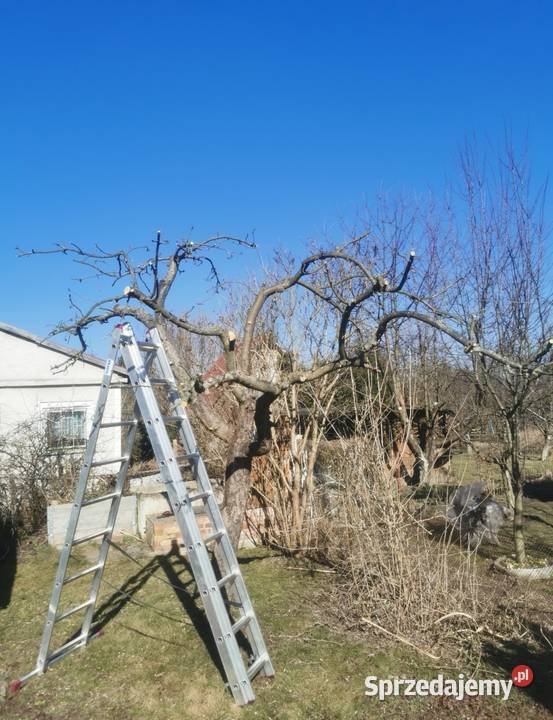 Prace Ogrodowe Pielęgnacja ogrodów i trawników Lubin