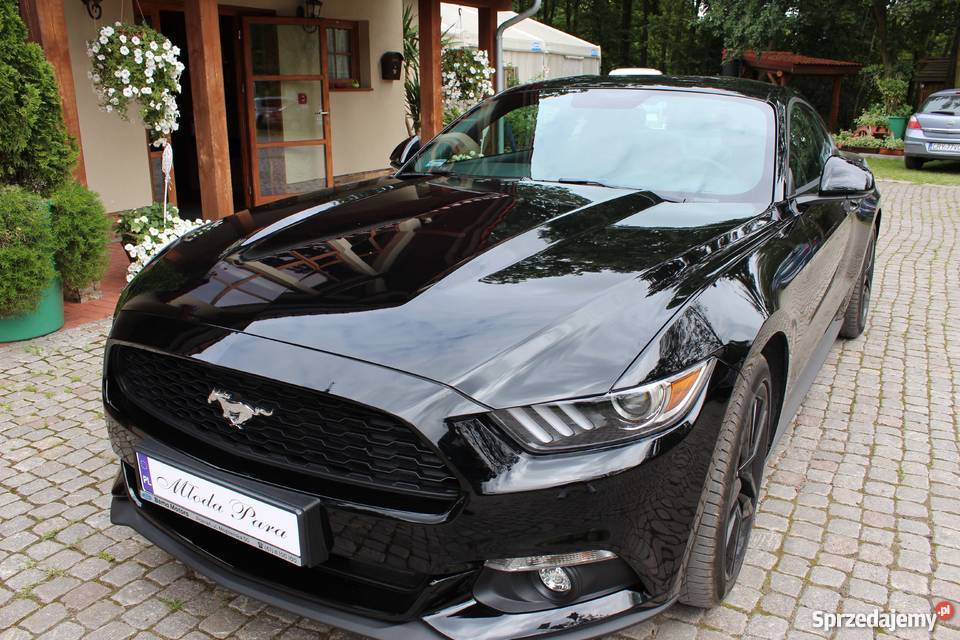 Samochód do Ślubu Super auto do Ślubu Konin