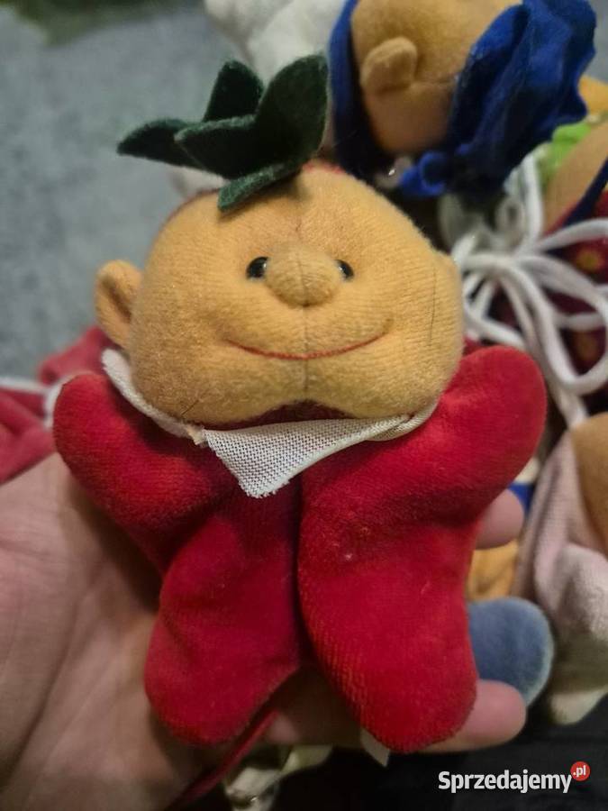 Zestaw 12 maskotek Piaseczno