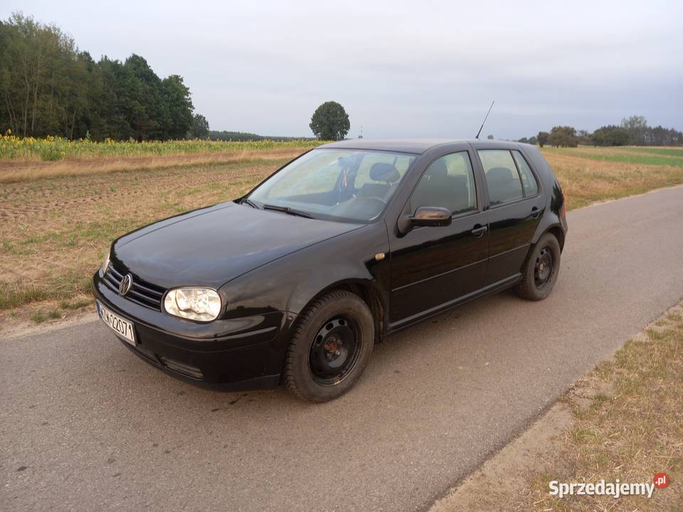 Sprzedam Golfa 4 16Sr Kałków sprzedam