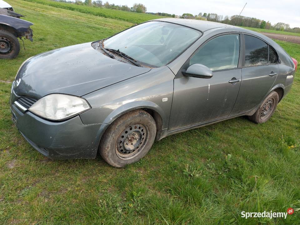 Primerra P12 2006r 19DCI KY5 G drzwi maska lubelskie Hańsk Pierwszy