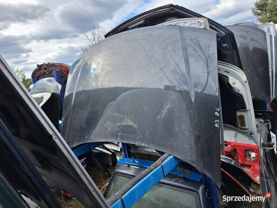 Maska Przód Audi A3 8L Kolory Gorzyce