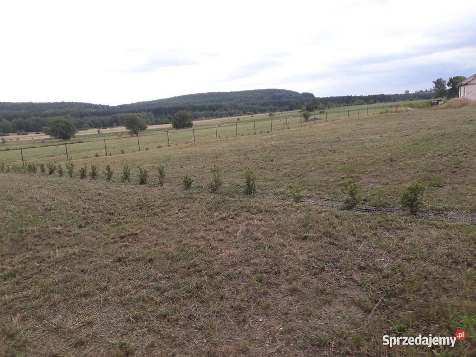 Dzialka budowlana z pozwoleniem i projektem Dąbrowa Górnicza sprzedam