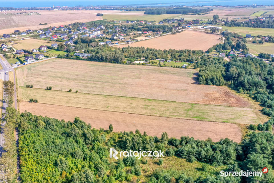 sprzedaży gruntu 9632m2 Łebcz Dr Augusta