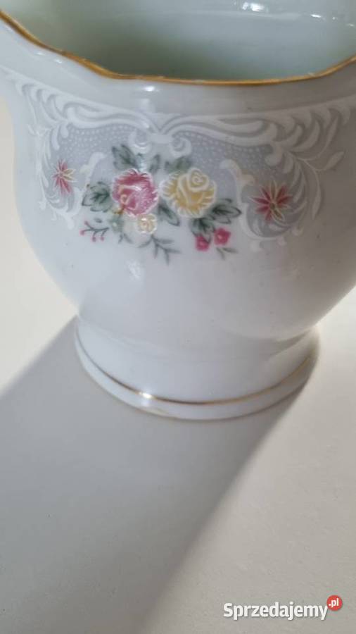 Mlecznik Dzbanek wielkopolskie Wola Podłężna