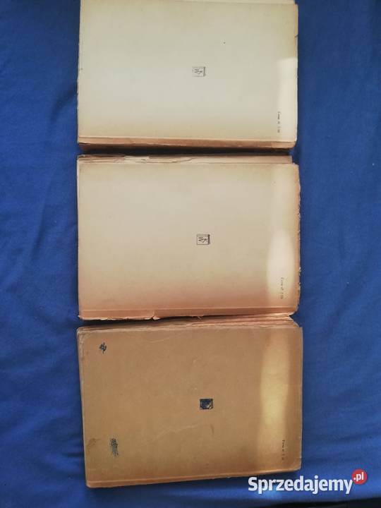 Książka Niemnem 123 Tom Pozostałe Warszawa