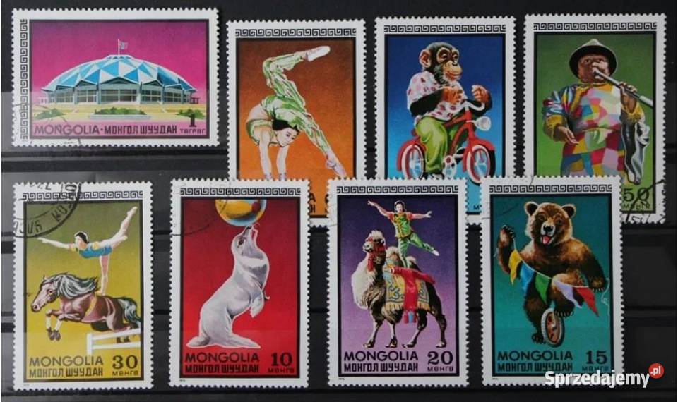 Mongolia cyrk Oborniki