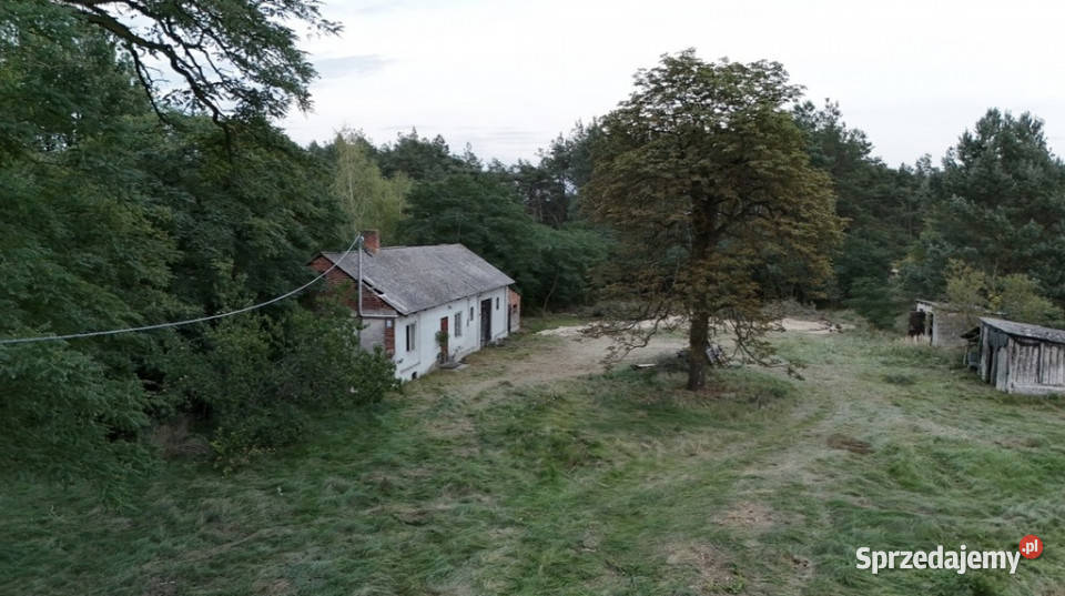 Wyjątkowe siedlisko 57 ha z własnym lasem Jadwichna