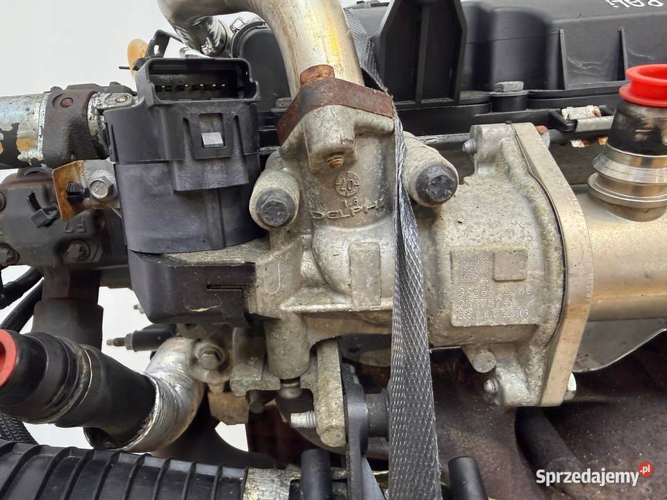 SILNIK G6DB Ford C C 20 TDCI 136 G6DA G6DD G6DG Chełm sprzedam