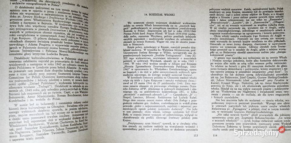 Szkice o literaturze emigracyjnej Maria D Chełm