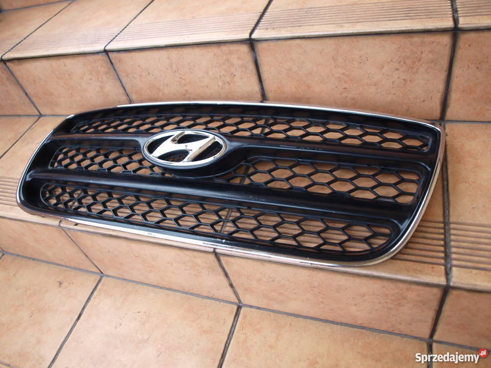 Hyundai Santa Fe Grill Atrapa przednia 2006 wielkopolskie Kalisz