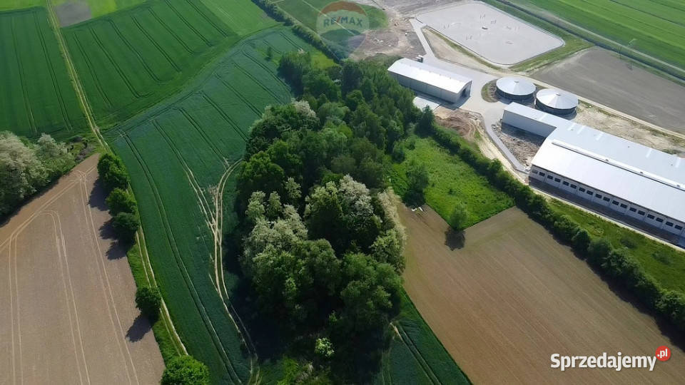 Działka z lasem i widokiem na góry 4 ha 580m