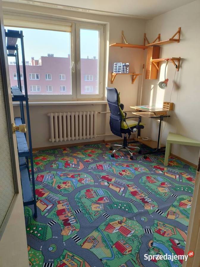 sprzedam bezpośrednio mieszkanie 3 pokojowe piwnica mazowieckie