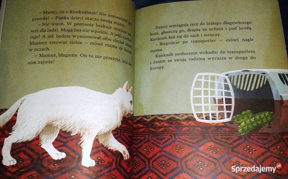 Kot który zgubił dom Ewa Nowak Chełm