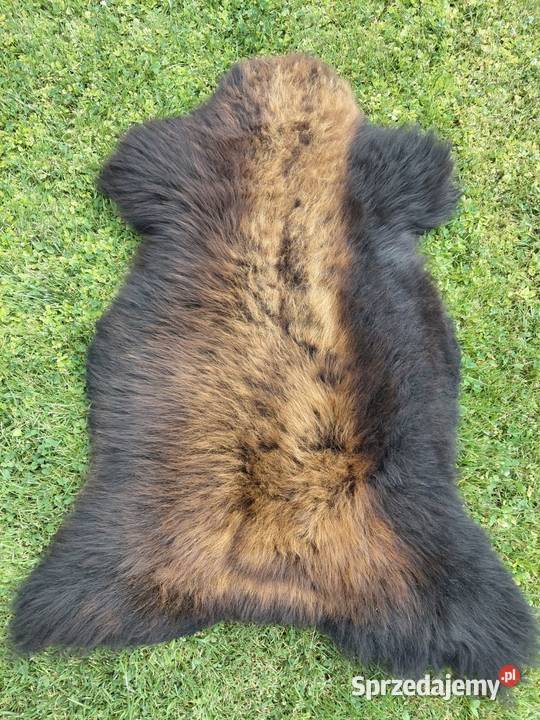 POLSKIE SKÓRY OWCZE Naturalna Skóra Owcza małopolskie Szaflary