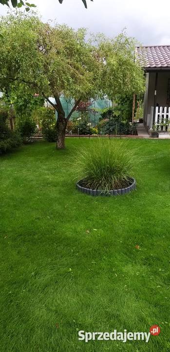 Działka ROD Tamel ogródek działkowy Sprzedaż małopolskie Tarnów