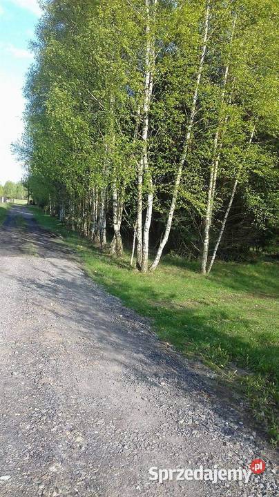 Działka rolno budowlana w Rasach Bełchatowa woda