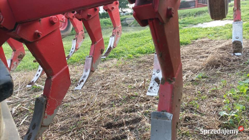 Gruber głębosz pług dłutowy Massey Ferguson łódzkie Rawa Mazowiecka
