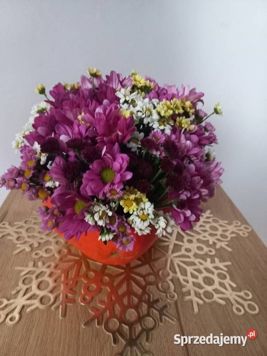 Kompozycja florystyczna z dyni Jaworzno sprzedam