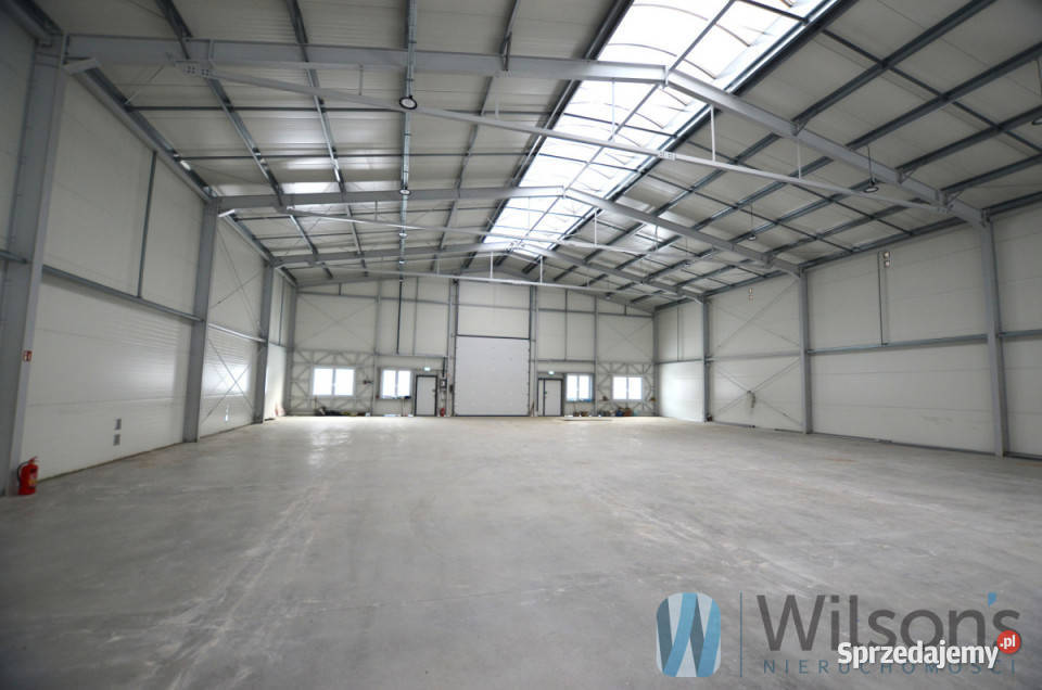 Do wynajęcia lokal 695 metrów Łomianki Dziekanów sprzedam