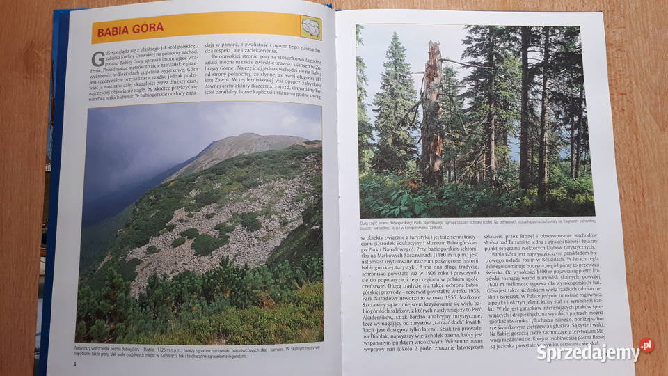 Magiczne miejsca Temat Polska Rybnik