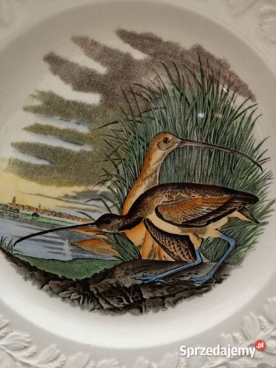 Talerz obiadowy birds America ilustra AUDUBONA Zamość