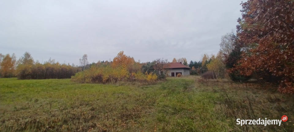 WarszawaRaszynTarczyn Posiadłość 21 ha z 2 piętra
